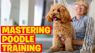 Mastering Poodle Training 7 Vital Commands for Strengthening Your Bond [upl. by Ocicnarf]