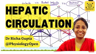 Liver circulation physiology and portal hypertension  liver portal vein  Gastrointestinal [upl. by Yenwat372]