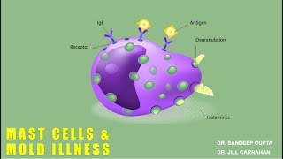 Mast Cells and Mold Illness with Dr Jill Carnahan [upl. by Tiff734]