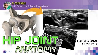 HIP JOINT ANATOMY FOR REGIONAL ANESTHESIA [upl. by Gilly]