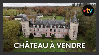 Château recherche acheteur désespérément une belle demeure à plus dun million deuros [upl. by Ellecrad]