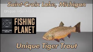 Fishing Planet Unique Tiger Trout SaintCroix Lake Michigan [upl. by Matteo652]