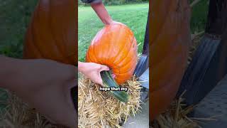 Wonder what my neighbors will think 😆 pumpkincarving halloween funny [upl. by Aelem]