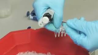 2PCR Based method for Genotyping [upl. by Chew]