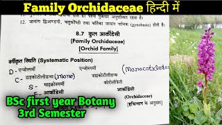 Family Orchidaceae in Hindi  BSc 2nd year Botany Third Semester [upl. by Ky]