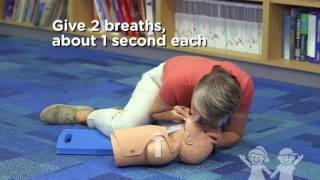 Child CPR and Choking [upl. by Hamford]