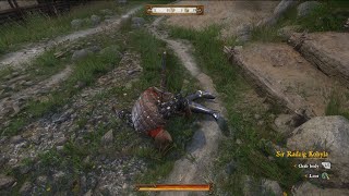 Sir Radzig Kobyla’s Inventory  horse armour  Kingdom Come Deliverance NPC Armour Guide [upl. by Edieh727]