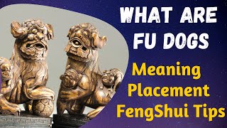 What Are Fu Dogs Chinese Lions Statue Meaning Fu Dogs Placement How To Use Fu Dogs For Protection [upl. by Theresa566]