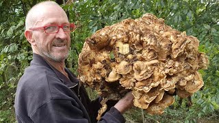 PORCINI NEL CASTAGNO E TROVO UNA GRIFOLA GIGANTEA [upl. by Baras710]