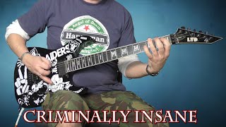 Slayer  Criminally Insane  Guitar Cover With Solo [upl. by Loftus876]