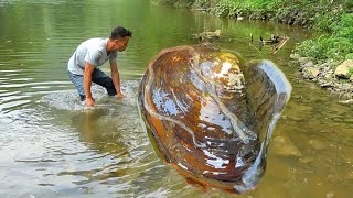 Prying open the giant clam countless enchanting pearls flowed out from inside extremely beautiful [upl. by Dlawso]