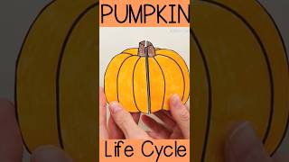 Pumpkin Life Cycle 🍊shorts shorysvideo scienceactivity diy pumpkin lifecycles [upl. by Sharity]