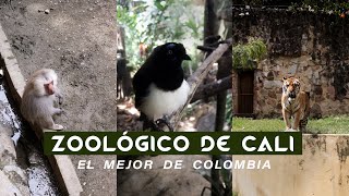 El Mejor Zoológico de Colombia 🇨🇴 El Zoológico de Cali 🐯 [upl. by Loralyn]