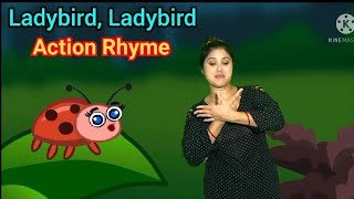 Ladybird Ladybird Action Rhyme [upl. by Eninnej]