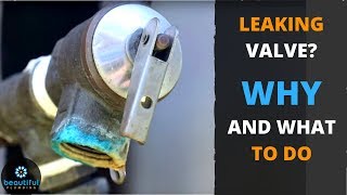 Leaking Valve How to Know What to Do [upl. by Gambell497]