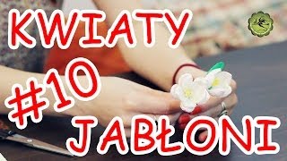 Kwiatki z bibuły 10  kwiaty jabłoni [upl. by Dhu]