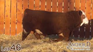 Lot 46 Anchor D Locksley 309L [upl. by Senior]