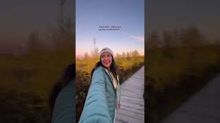 apparently they like bogs and wetlands too🤯 📍Mer Bleue Bog Boardwalk [upl. by Dosia509]