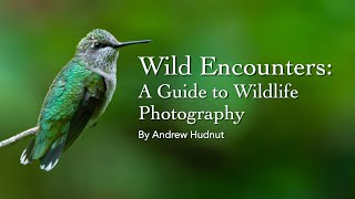 Wild Encounters A Guide to Wildlife Photography [upl. by Erena247]