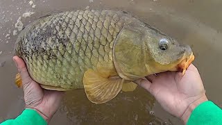 Keep It Simple Carp Fishing  Easy Method For Catching Carp [upl. by Aguste]