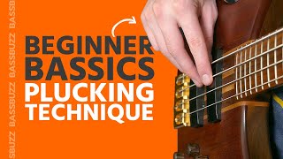 Basic Bass Plucking Technique Beginner Bass Basics [upl. by Peony]