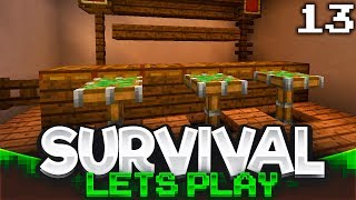 Potion Bar  Minecraft Survival Lets Play  Episode 13 [upl. by Yeffej773]