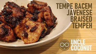 TEMPE BACEM  Javenese Braised Tempeh  Great Vegan Dish [upl. by Imefulo925]