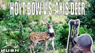 HAWAII DIY Archery Axis Deer Hunt  Eat WILD Game [upl. by Edrahc]