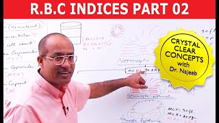 RBC Indices  Erythrocyte Indices  Hemoglobin Hematocrit MCV MCH amp MCHC  Part 2 [upl. by Missie]