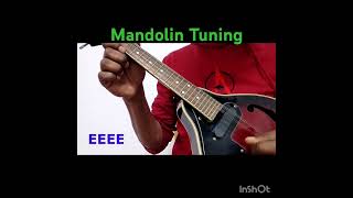 MANDOLIN TUNING amp OPEN STRING EXERCISE mandolintuning mandolin mandolininstrument [upl. by Hertha]