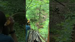 TN Classic Atlatl Throwing Competition tennessee atlatl spear spearhunting [upl. by Elac]