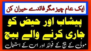 Radish Seeds Benefits  Mooli Ke Beej Ke fawaid Aur us ke istemal By Hakeem Zia Shahid [upl. by Cenac601]