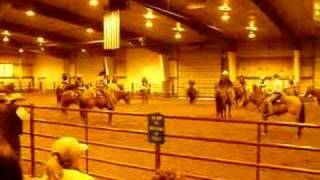 Buck Brannaman horse training [upl. by Adriano]