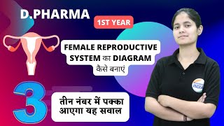 FEMALE REPRODUCTIVE SYSTEM  DIAGRAM से आ सकता है 3 नंबर का Question [upl. by Anada365]