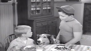 Lassie  Beholden  Lassie Full Episodes  Videos For Kids  Kids Movies [upl. by Schmitt]