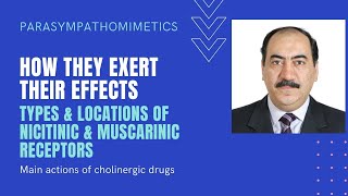 Parasympathomimetics Nicotinic and muscarinic receptors  Their agonists amp antagonists [upl. by Yroger814]