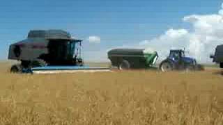 3 Gleaner R72s [upl. by Nailliw]