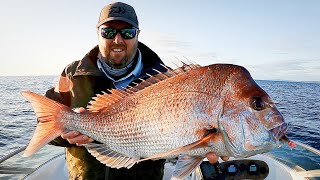 Snapper on plastics in Merimbula [upl. by Akinet]