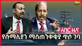 ሰበር የሱማሊያን ዛቻ ንቆ ገባ  ግብጽ እና ሱማሊያ በሰሙት ደነገጡ  ሱማሊያ፣ “አሜሪካ እየሸወደችኝ ነው” አለች gmnethiopia [upl. by Kelsy794]