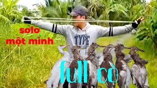 Slingshotsolo một mình bem cò bợ kết quả full cò baonathu [upl. by Sillig190]