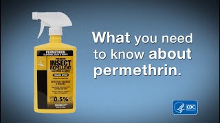 What You Need to Know about Permethrin [upl. by Eiromem]