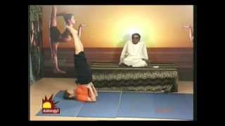 Dr Asana Andiappan Kalaignar Tv Yoga Program 28022013 [upl. by Elleiad123]