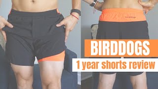 BIRDDOGS Shorts  Thoughts after 1 year [upl. by Kyre]