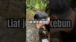 Liat jerat dikebun kalimantan foryou trending [upl. by Helmut99]