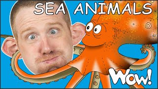 Sea Animals for Kids from Steve and Maggie Stories  Free Speaking Wow English TV [upl. by Betthezul]