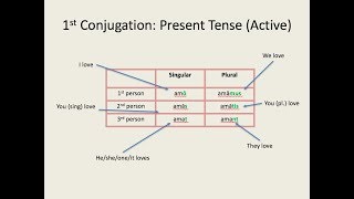 Latin for Beginners Lesson 3 First Conjugation Verbs in the Present Tense [upl. by Esmaria]