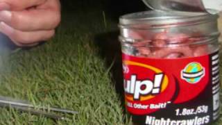 catfish night fishing gulp nightcrawler [upl. by Areht]