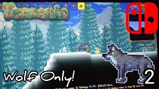 Nintendo Switch  Terraria but Im playing as a WOLF 2 [upl. by Johna]