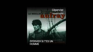 lépervier Hugues Aufray [upl. by Helve]