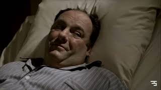 The Sopranos YTP Tony has good taste in music S06E04 series 2000s sopranosedit hbo ytp [upl. by Baumann26]